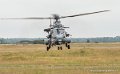 caracal-g91_6365