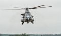 caracal-g91_6366