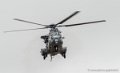 caracal-g91_6367