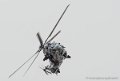 caracal-g91_6368