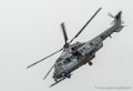 caracal-g91_6369