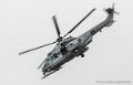 caracal-g91_6370