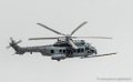 caracal-g91_6373