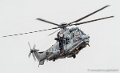 caracal-g91_6375