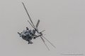 caracal-g93_1606