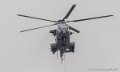 caracal-g93_1608