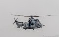 caracal-g93_1621