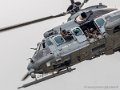 caracal-g93_1632