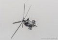 caracal-g93_1791
