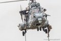 caracal-g93_1797