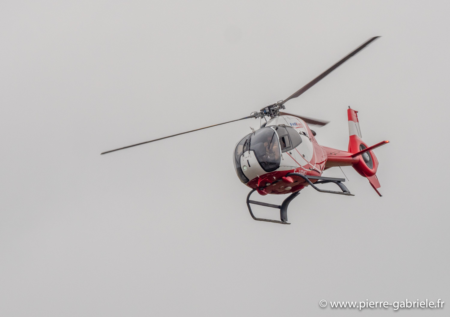 colibri-g93_1684.jpg