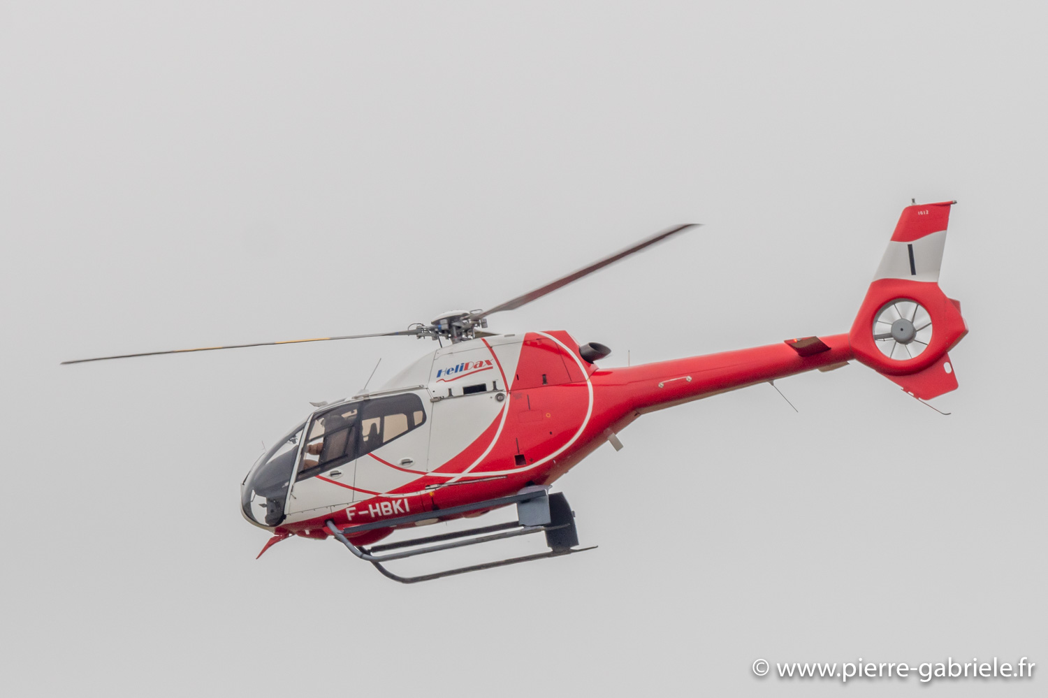 colibri-g93_1687.jpg