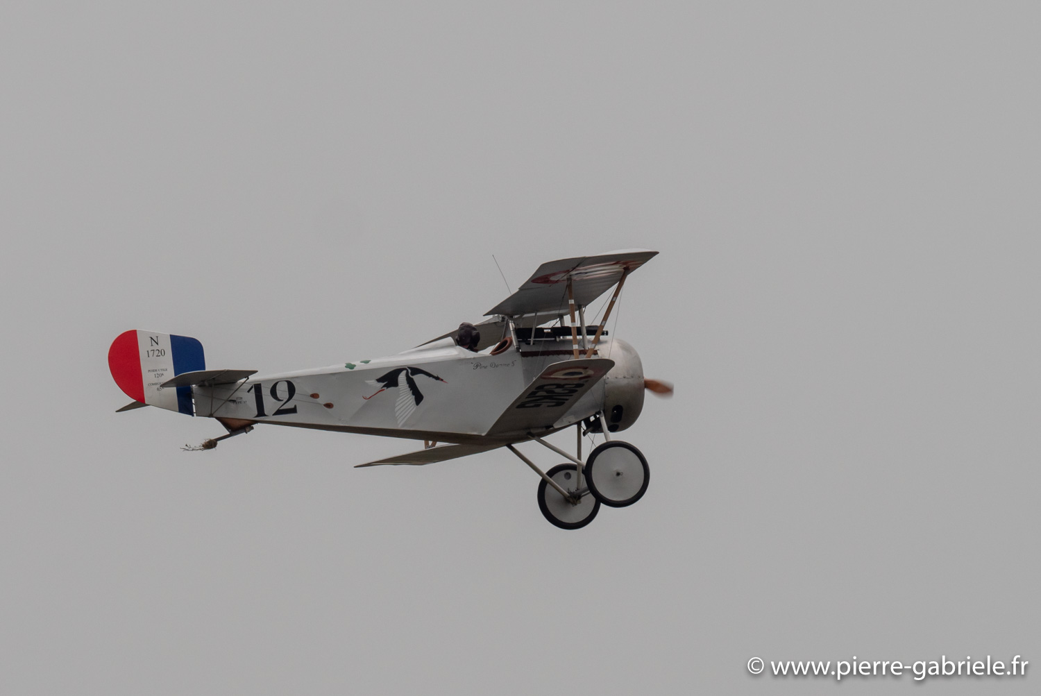 nieuport17-g93_1573.jpg