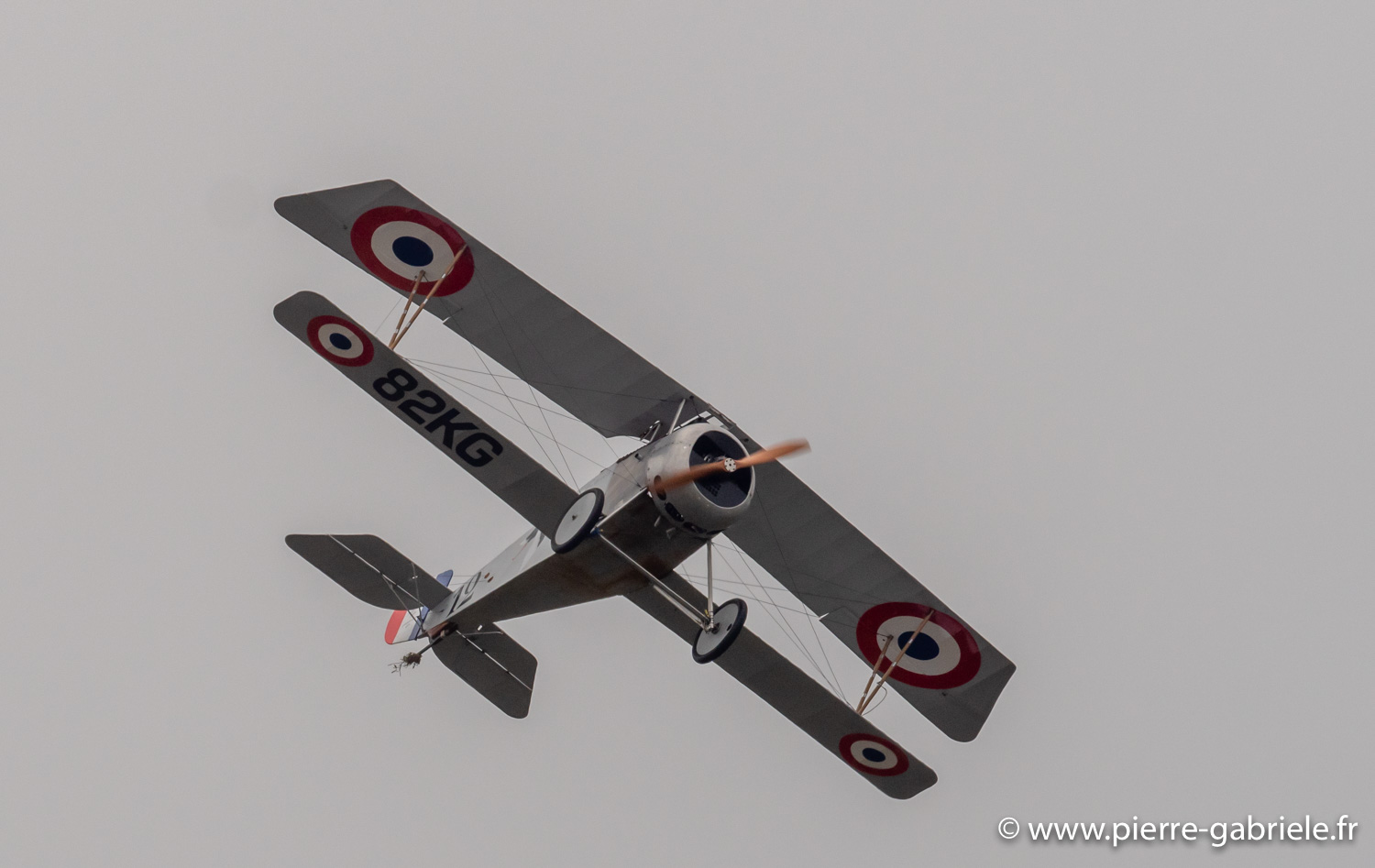 nieuport17-g93_1576.jpg