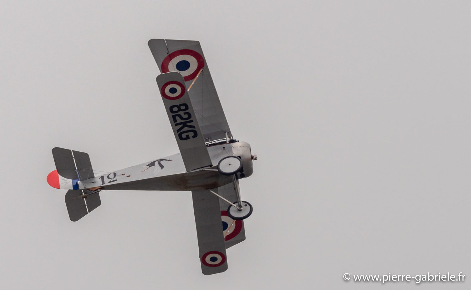 nieuport17-g93_1577.jpg
