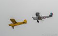 piper-stampe-g91_6323