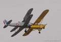 piper-stampe-g93_1638