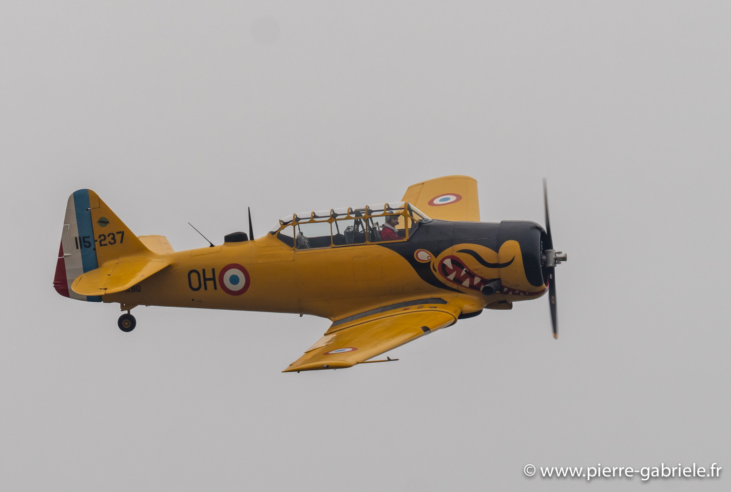 t6-g93_1588.jpg