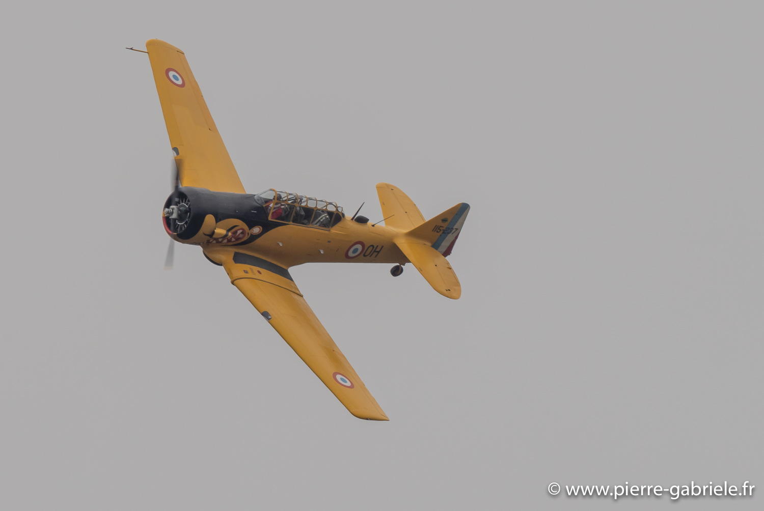 t6-g93_1592.jpg