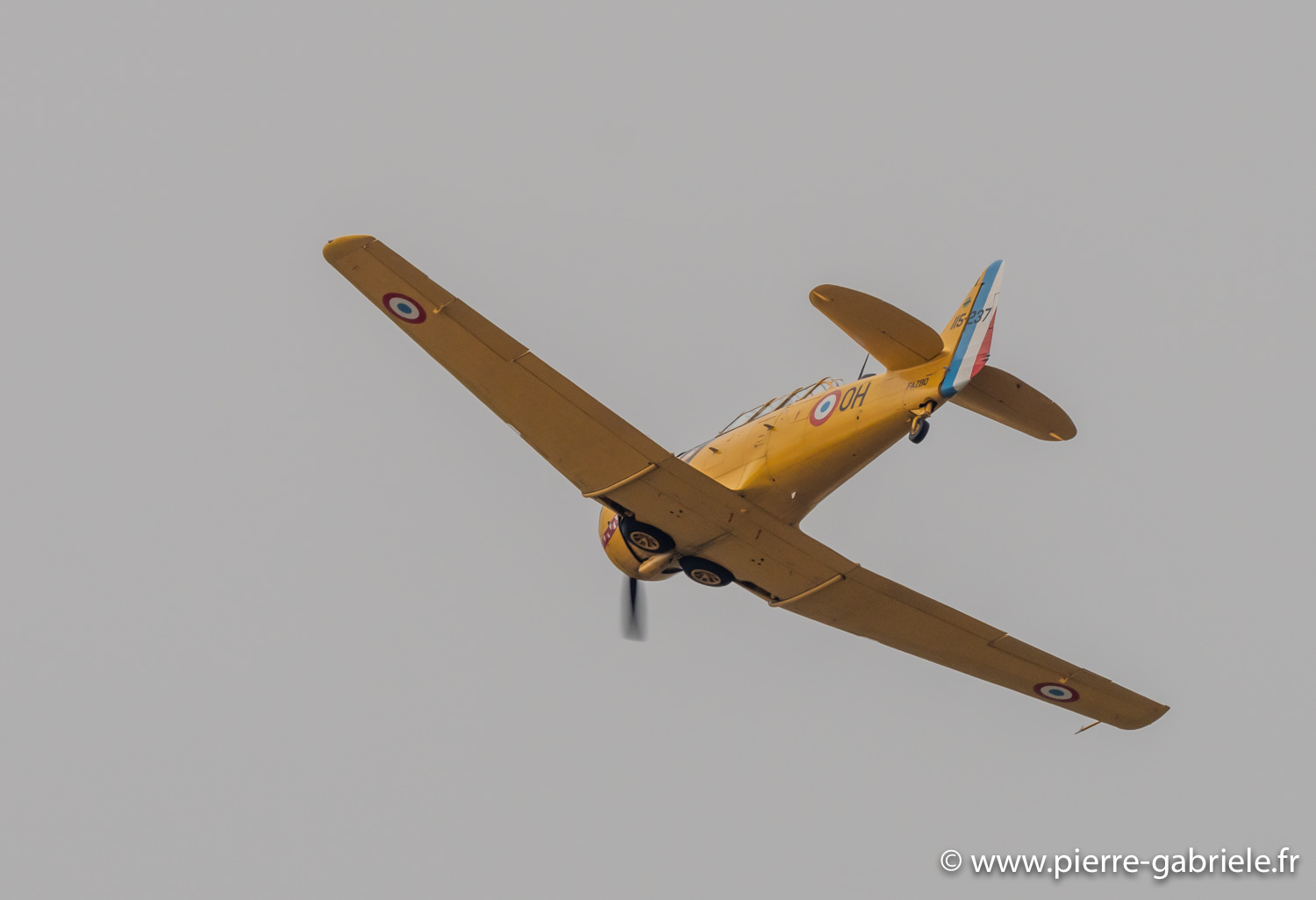 t6-g93_1594.jpg