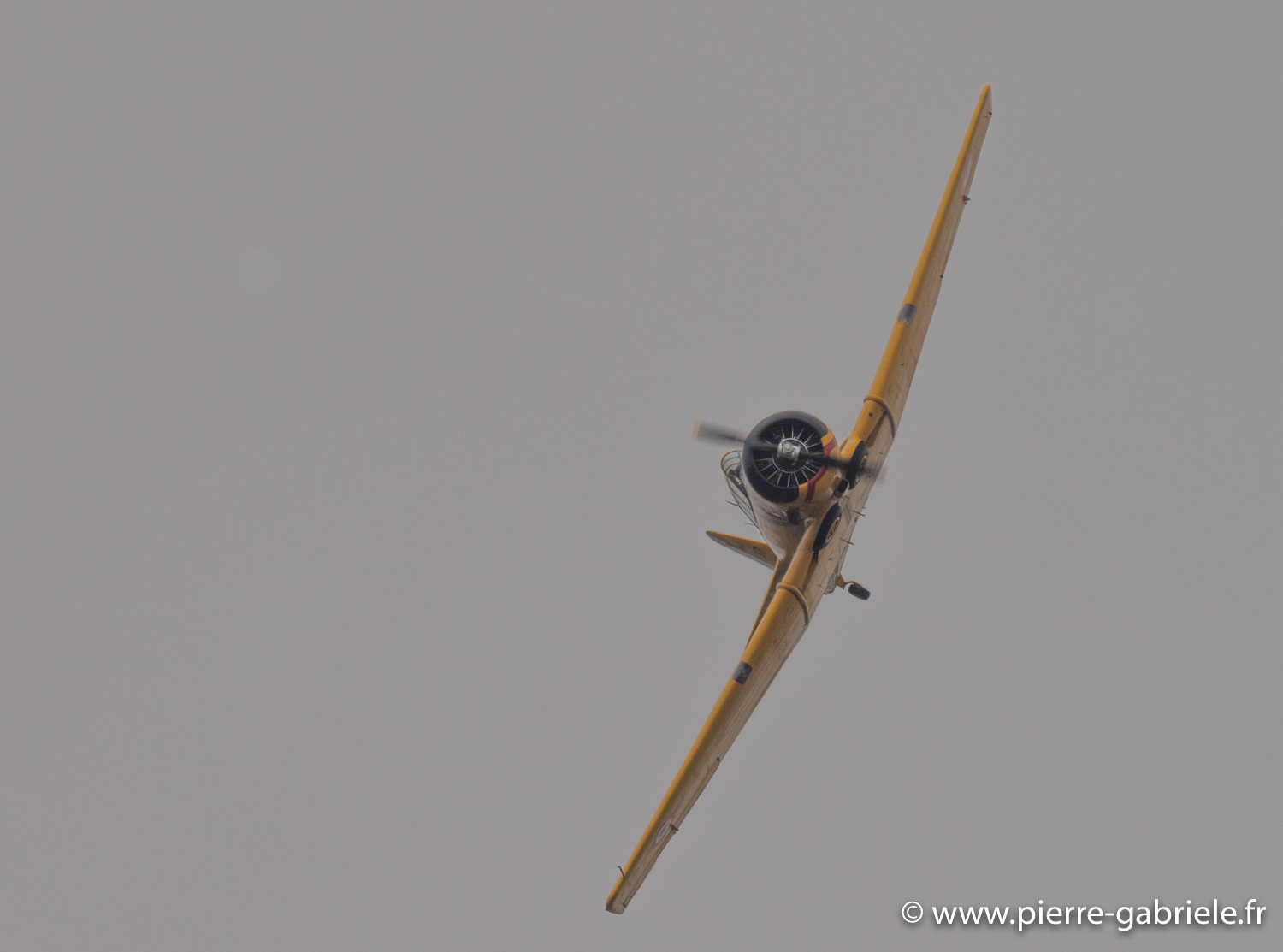 t6-g93_1596.jpg
