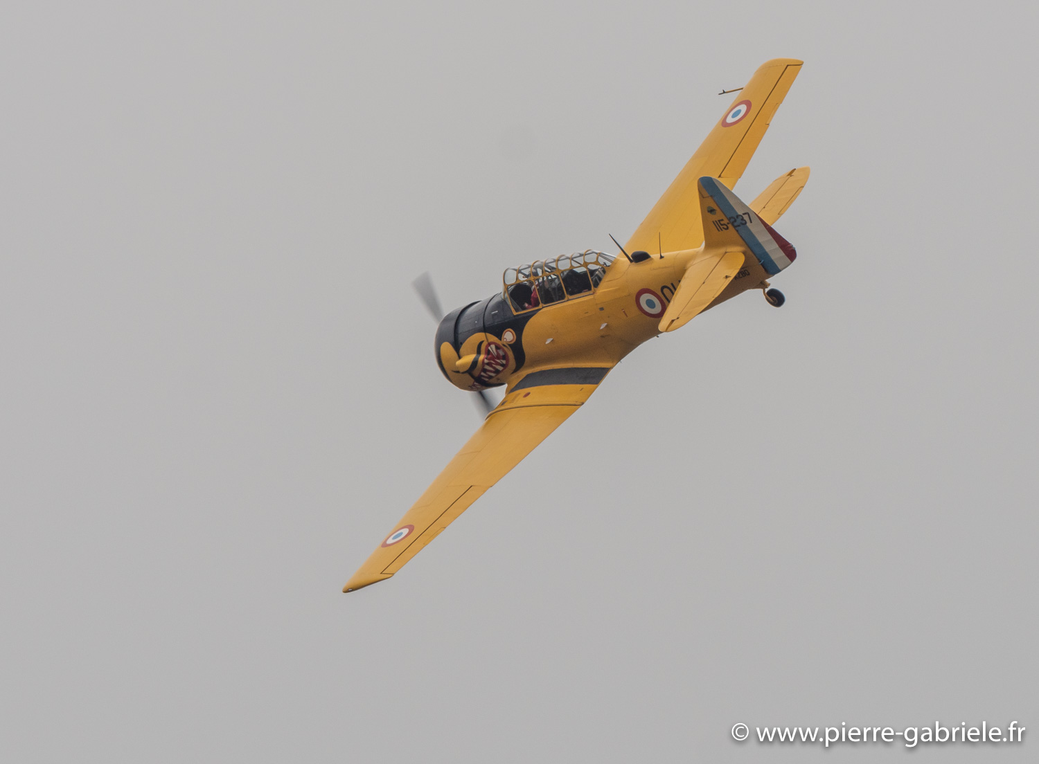 t6-g93_1598.jpg
