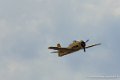 fennec_2900