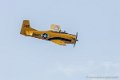 fennec_2905