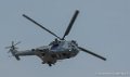 puma_3073