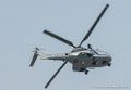 puma_3076