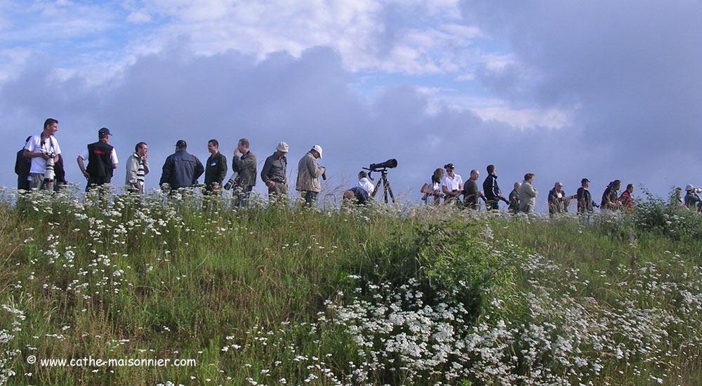 cazaux-cathe_-8336.jpg