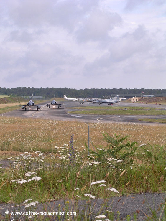 cazaux-cathe_-8362.jpg