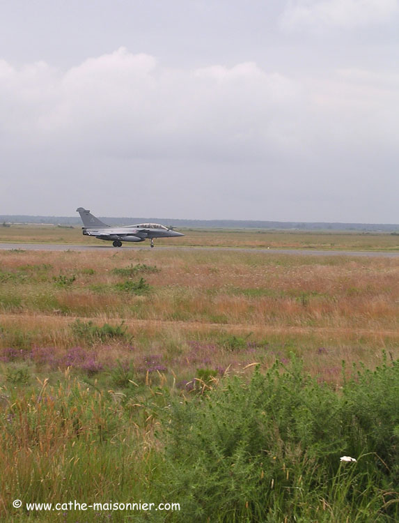 cazaux-cathe_-8382.jpg