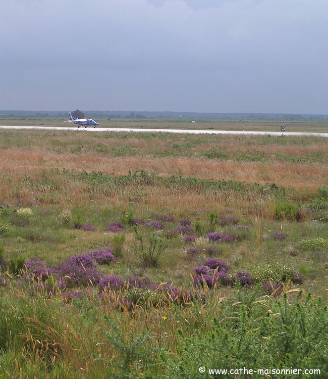 cazaux-cathe_-8388.jpg