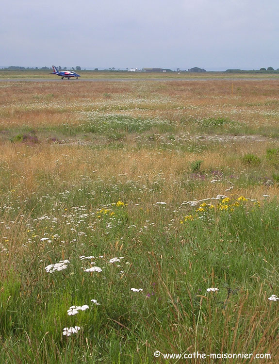 cazaux-cathe_-8390.jpg