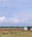 cazaux-cathe_-8346