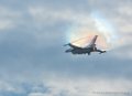 f16_8010