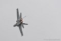 f18_8529
