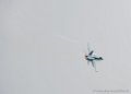 f18_8534
