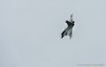 rafale_8802