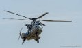 caracal_3649