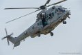 caracal_3651