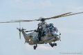 caracal_3655