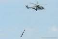 caracal_3666