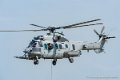 caracal_3672