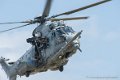 caracal_3675