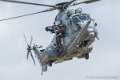caracal_3676