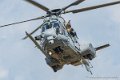caracal_3678