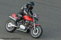 cercle-t-2011-d_9925