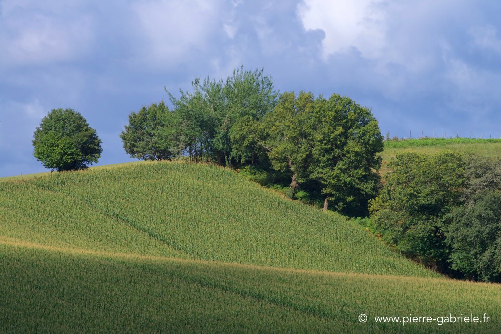 paysage-arnos_2624.jpg